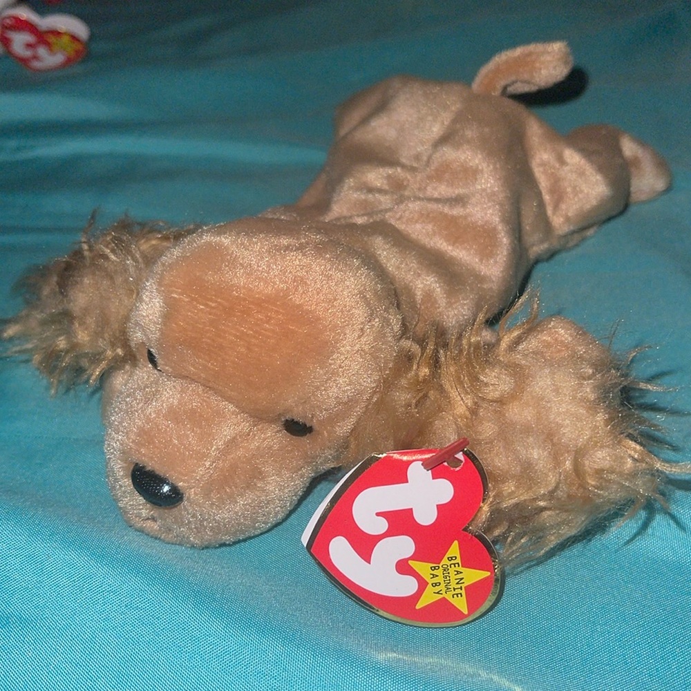 Rare spinky the coker spaniel